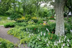 Amenagement de jardin