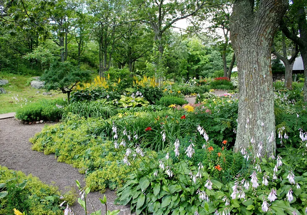 Amenagement de jardin Terrassement au Luxembourg