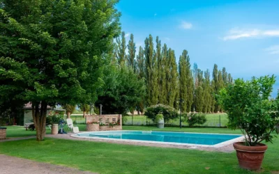 Aménagement extérieur à Esch-sur-Alzette : créez une ambiance zen et Personnalisée